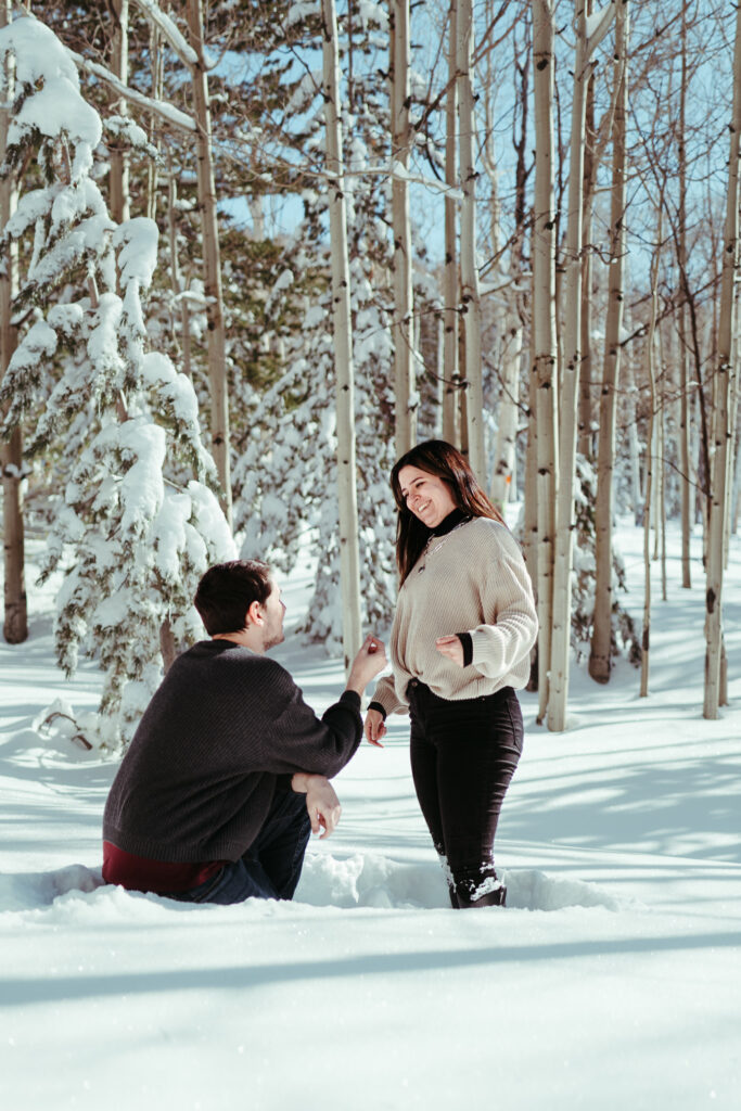 Wedding proposal in the snow in an aspen grove outside Flagstaff, Arizona.